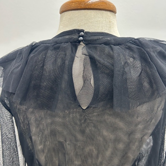 Zara Black Sheer Ruffle Blouse - Picture 5 of 10